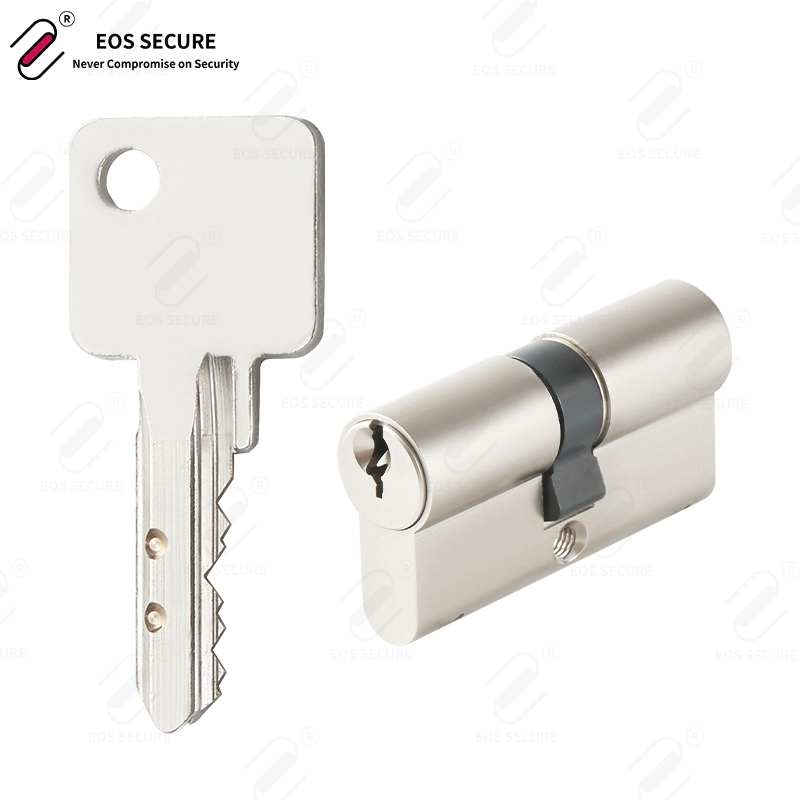 Patented Restricted Keyway Key Profile Master Key System Brass High Security Side Lateral Pin Door Locks Cylinder