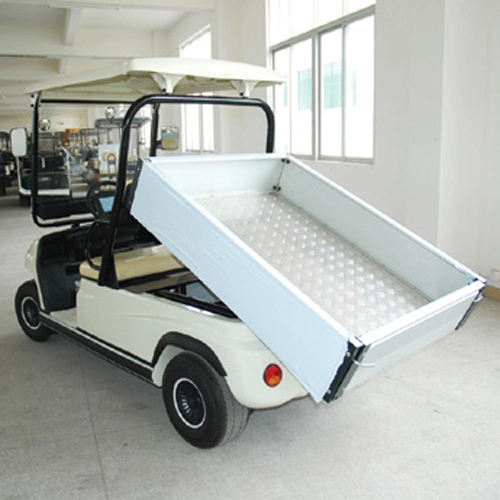 Electric Golf Cargo Truck Car 2 Seats Electric Mini Utility Vehicle