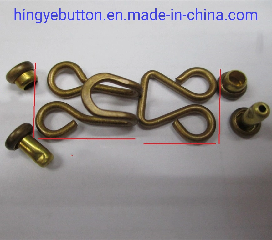 Metal Hook and Loop Brass Hook and Eyes for Ladies Skirt Garment Accessories