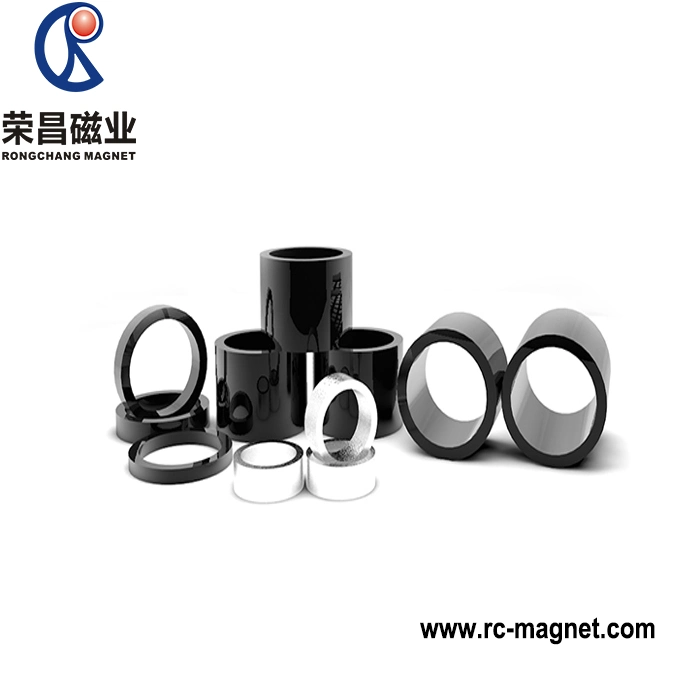 Wholesale Industrial Application Precise Dimension Injection Bni-5 Nedoymium Magnet