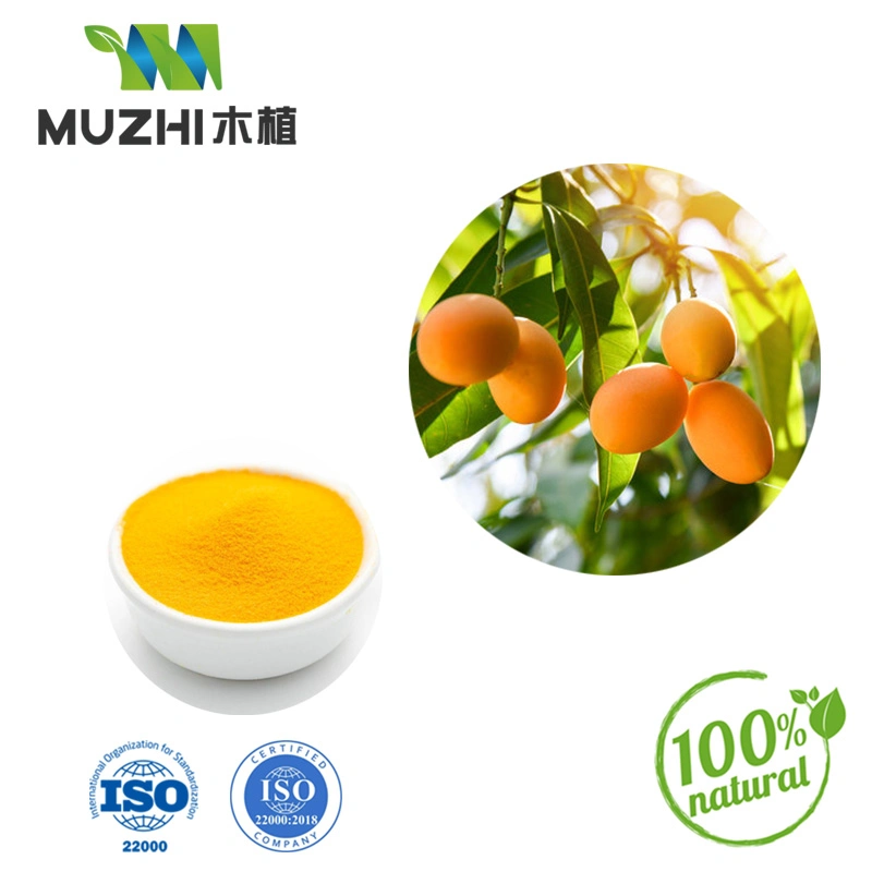 Factory Supply Bulk Organic Passion Fruit Powder