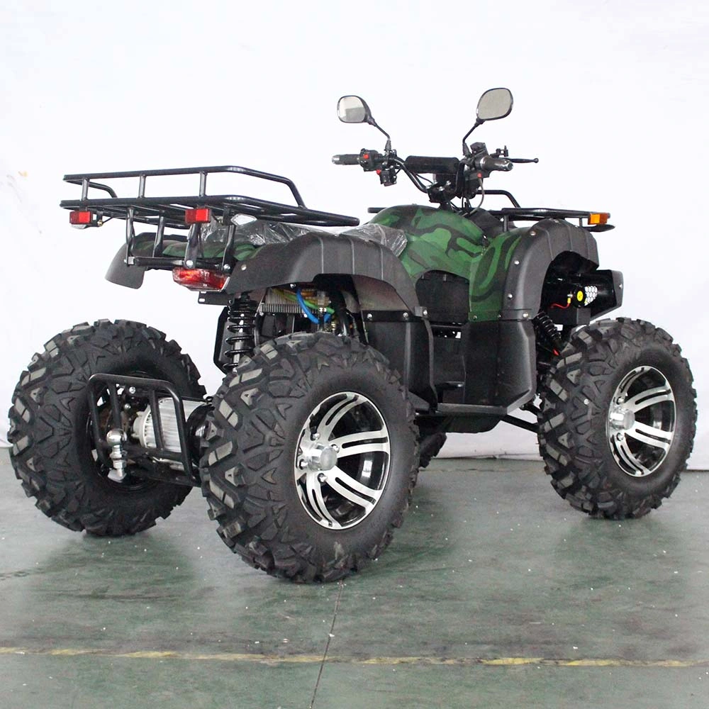 1200W Electric ATV Quad 4X2 Dune Buggy ATV