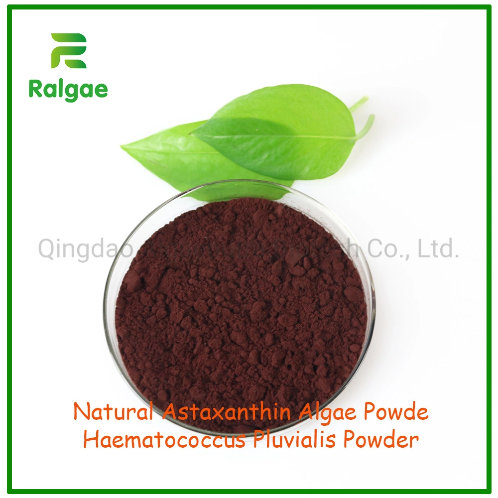 Natural Haematococcus Algae Powder Astaxanthin for Animal Feed