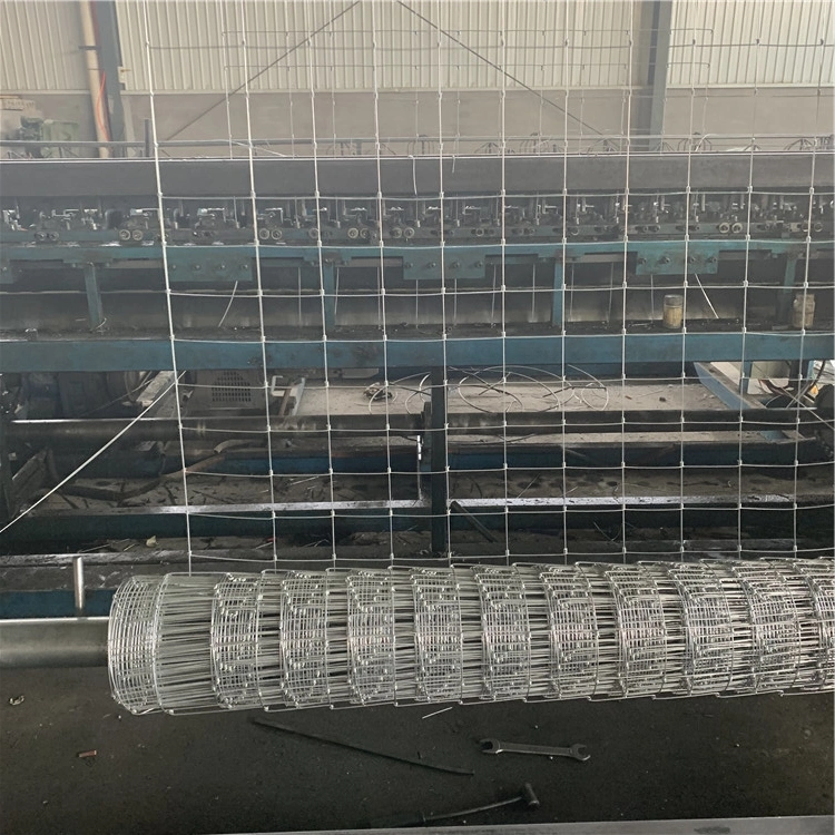 Hinged Joint Galvanized Wire Mesh Netting Deer Fencing Mesh