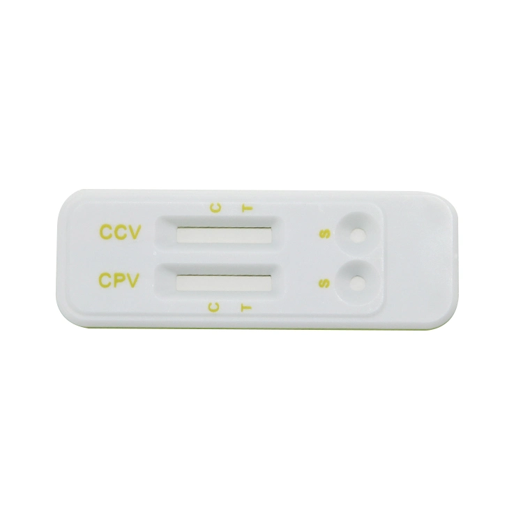 Veterinary Diagnosis Rapid Test Ccv Cpv AG Combo Rapid Diagnostic Test