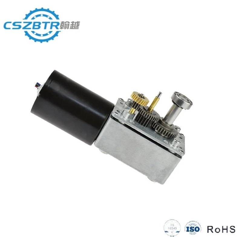 5840-3650 DC Worm Gear Motor Low 24V 300W Geared Motor with Encoder