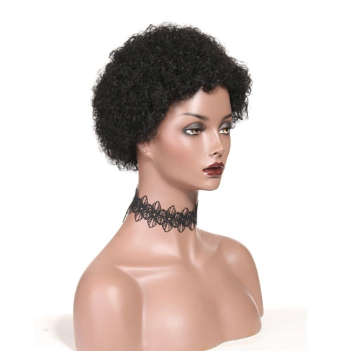 Afro Wigs for Black Women Short Human Hair Wigs