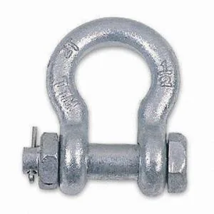 Stainless Steel 304/316 Us Type Bolt Type Anchor Shackle (G2130) with Good Pirce