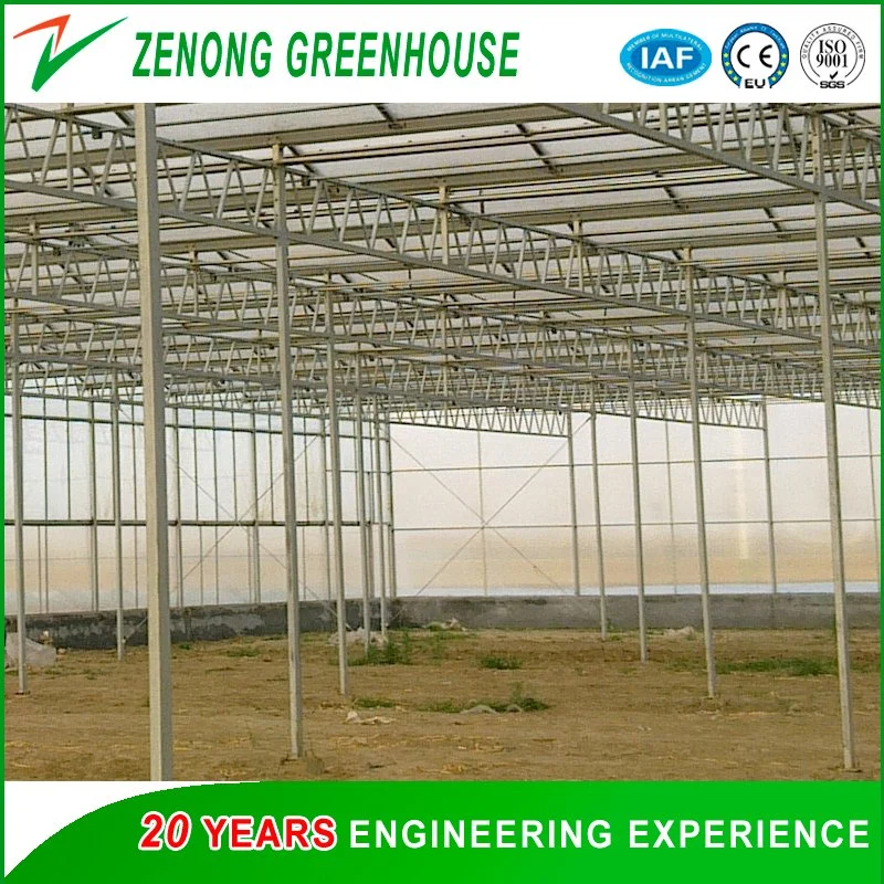 Intelligent Automatic Greenhouse Covered with PC Plate for Soil-Less Cultivation Equipped with Hydroponics/Substrate Planting System,