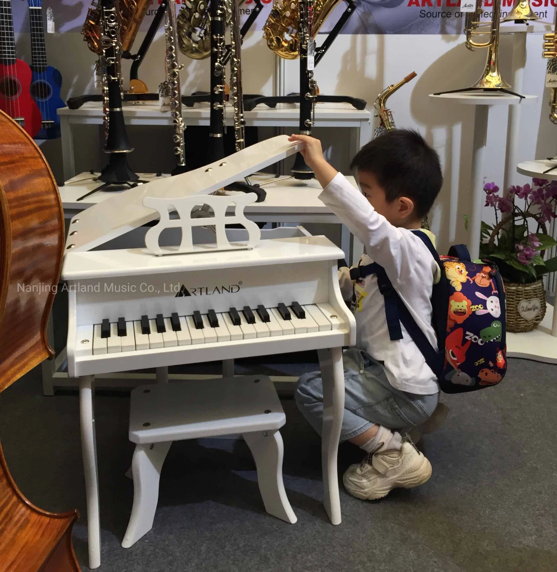 Baby /Toy Piano Instrument Pink