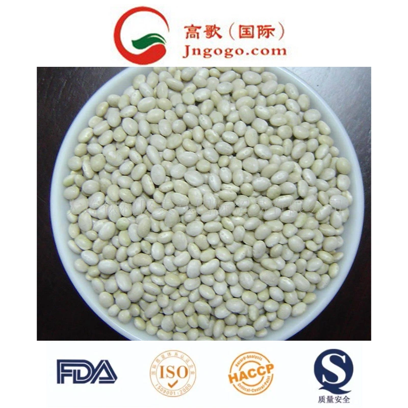 New Crop High Large White Kidney Bean