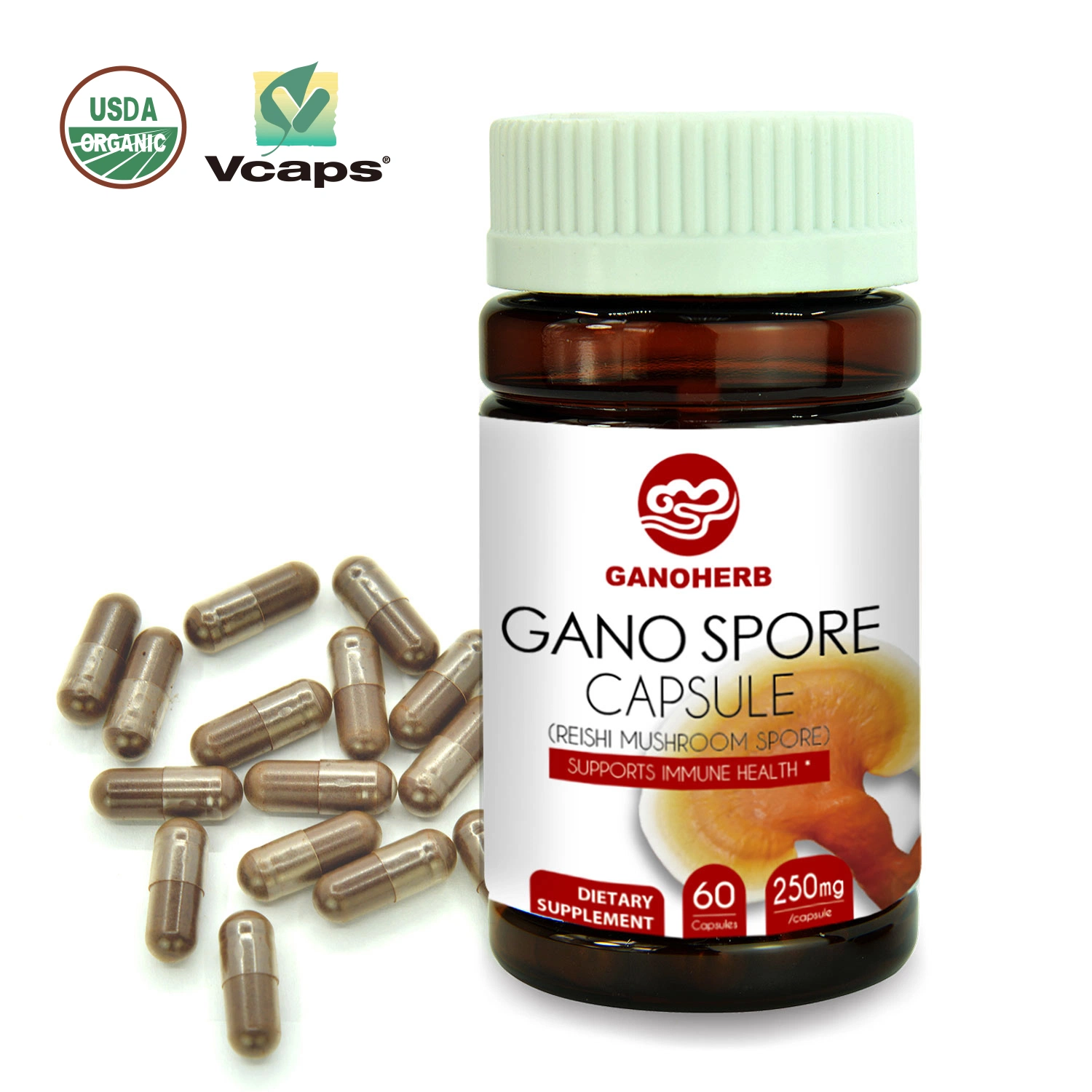 Organic Reishi Spore Capsule le champignon Reishi organiques Spore Capsule Poudre