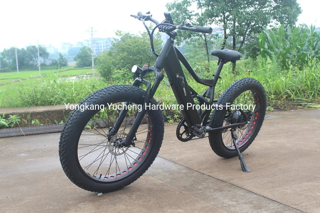 China Großhandel/Lieferant Hot 500W 48V E Bike E Fahrrad elektrisch Fahrrad 26 Frauen Lady Elektro-Fahrrad