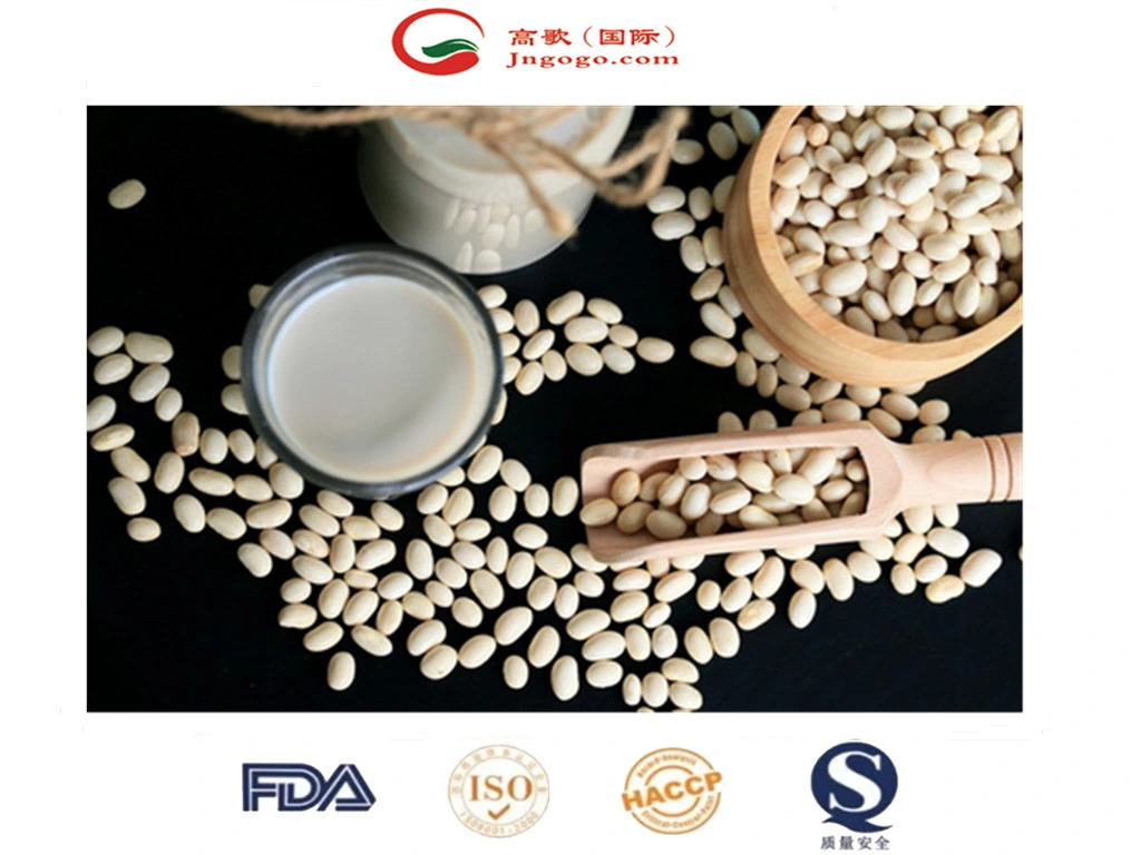 High quality/High cost performance Japanese White Kidney Bean