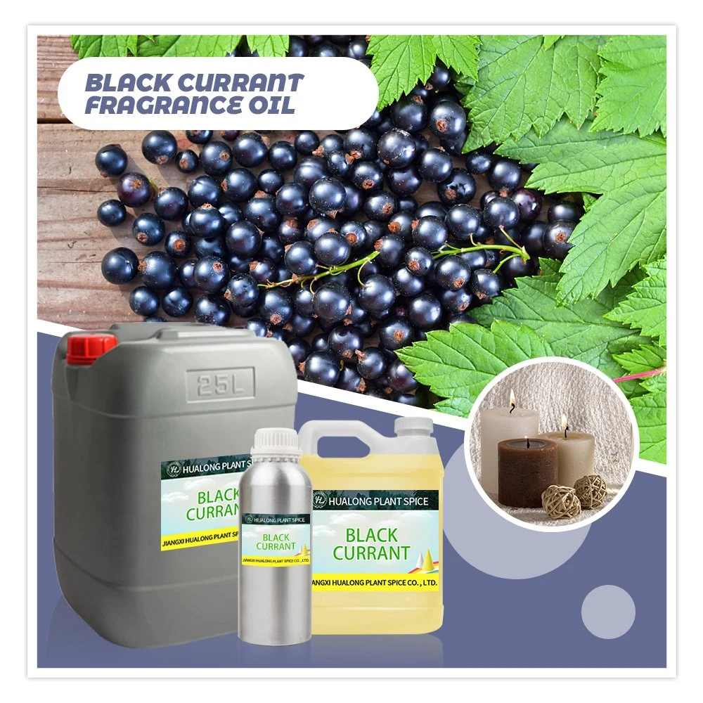 Hl- Manufacturer of Concentrated Black Currant Fragrance Oil, Wholesale/Supplier Blackcurrant Fragrance Oil for Candle Production