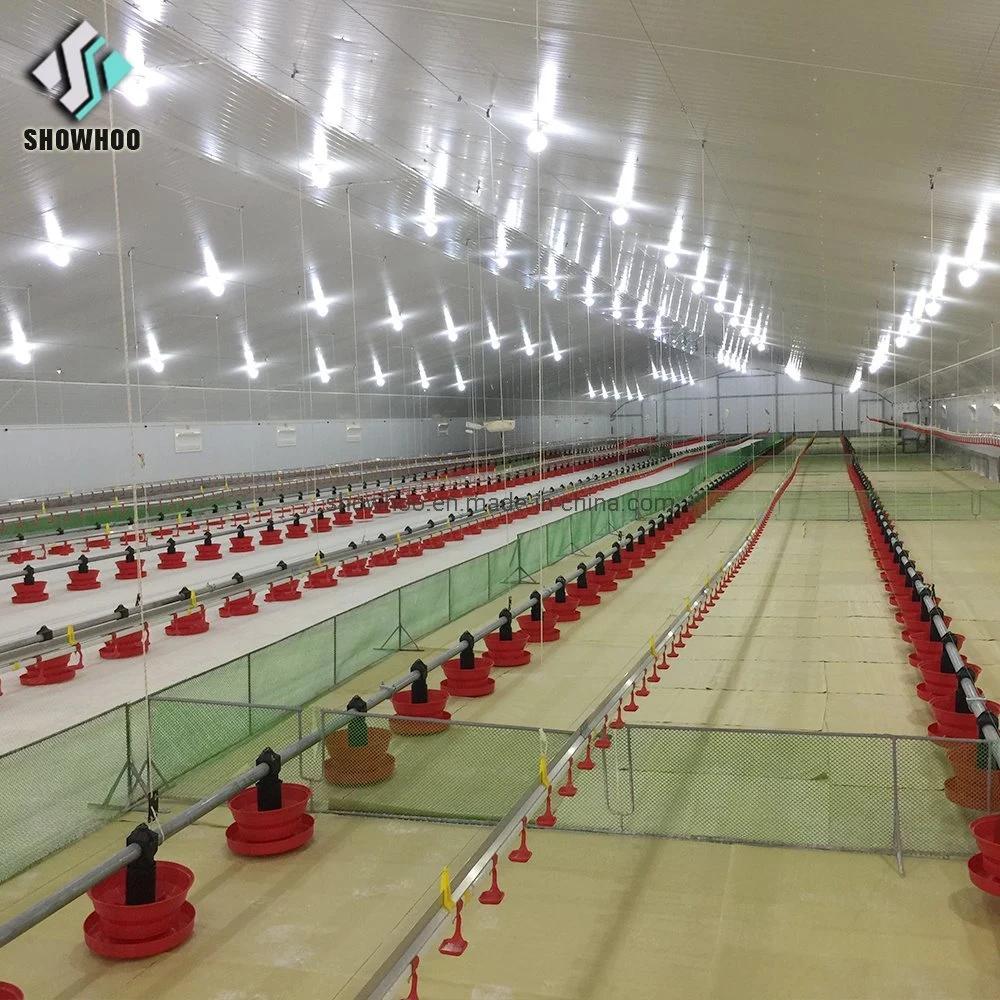 Cheap Automated Sandwich Panel Low Cost Poultry Farm House Design