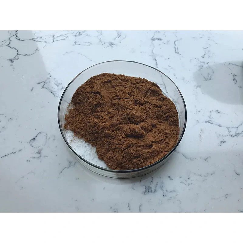 Wholesale/Supplier Factory Price Sparassis Crispa Extract Pure Sparassis Crispa Extract Powder