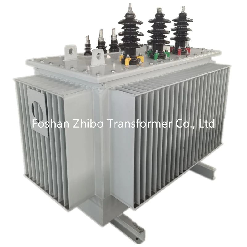 20, 22, 24kv 100kVA Oil Immersed Distribution Power Transformer