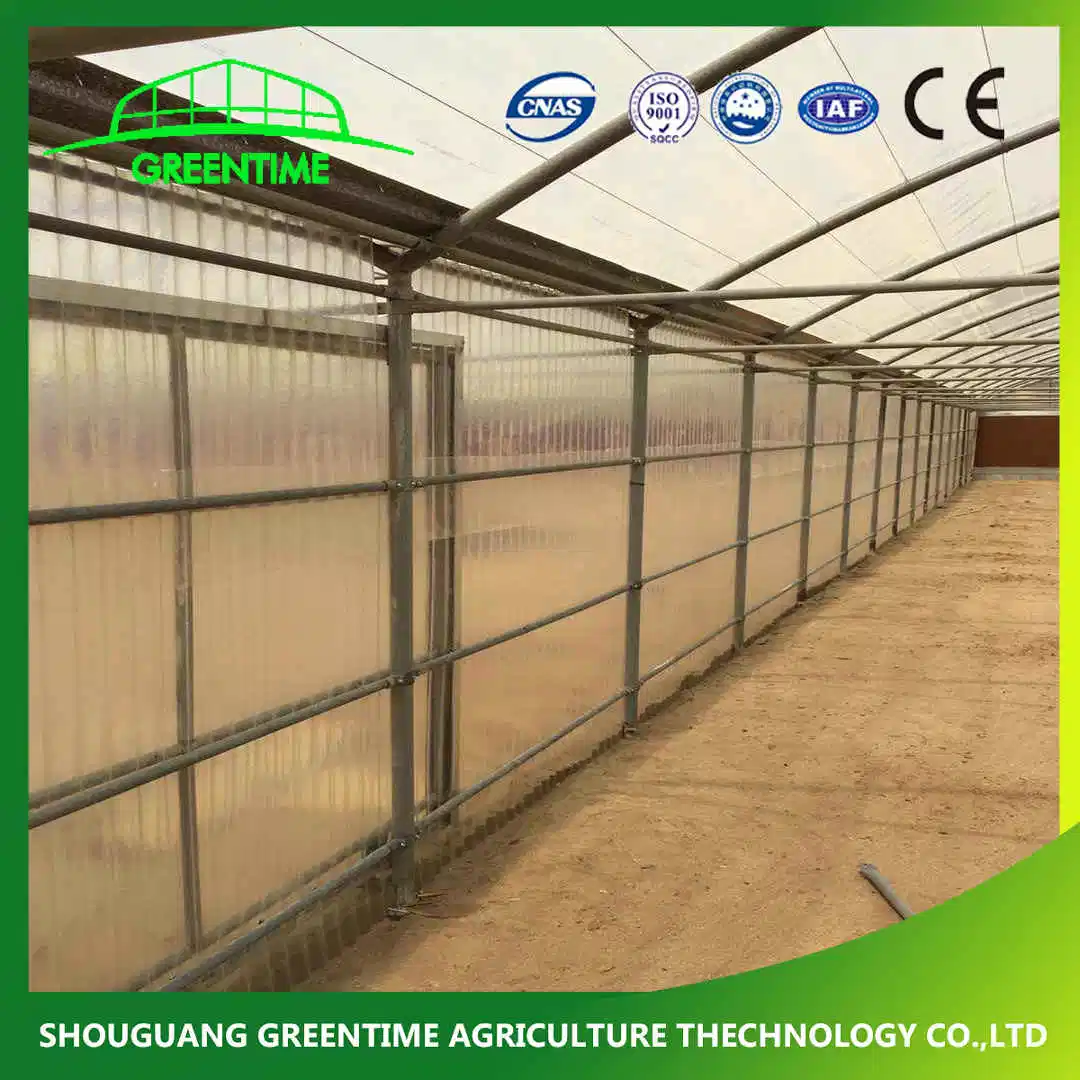 Round Type Polycarbonate Plastic PC Greenhouse for Vegetables/Flowers/Tomato/Cucumber Cultivation with Cooling System