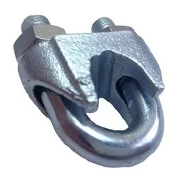 DIN741 Stainless Steel 304 316 Wire Rope Clip