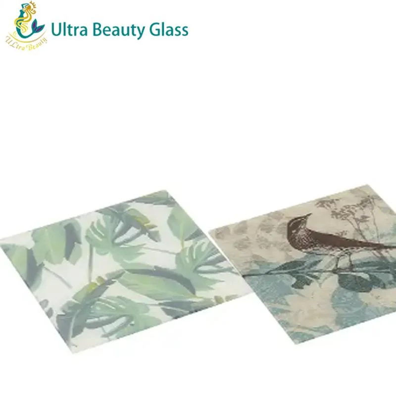 Custom Design Color Painted Digital Printed Ceramic Tempered Glass for Sale