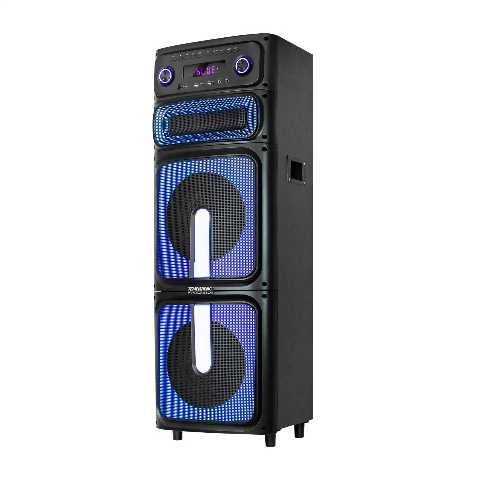 Temeisheng Personal 2*12inch modèle avec Karaoke DJ Super Bass Home Haut-parleur