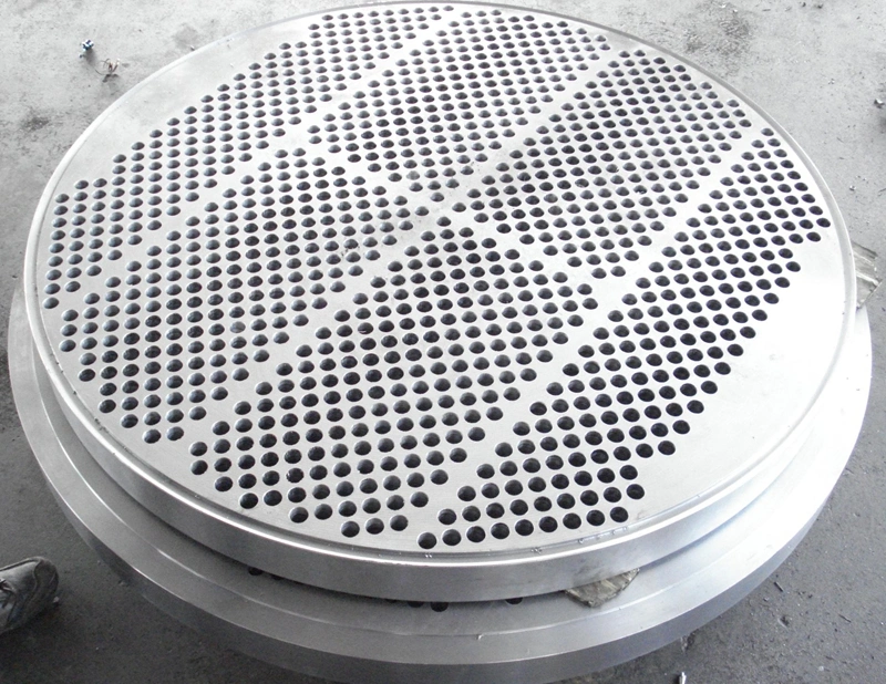 SS304/316 Forged Tube Sheet for Heat Exchanger