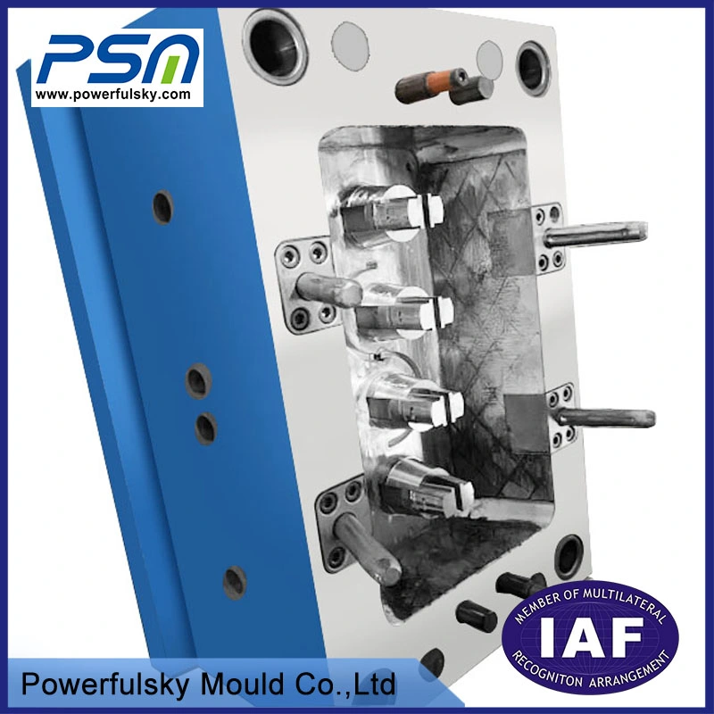 Powerfulsky ABS Plastic Injection Moulding