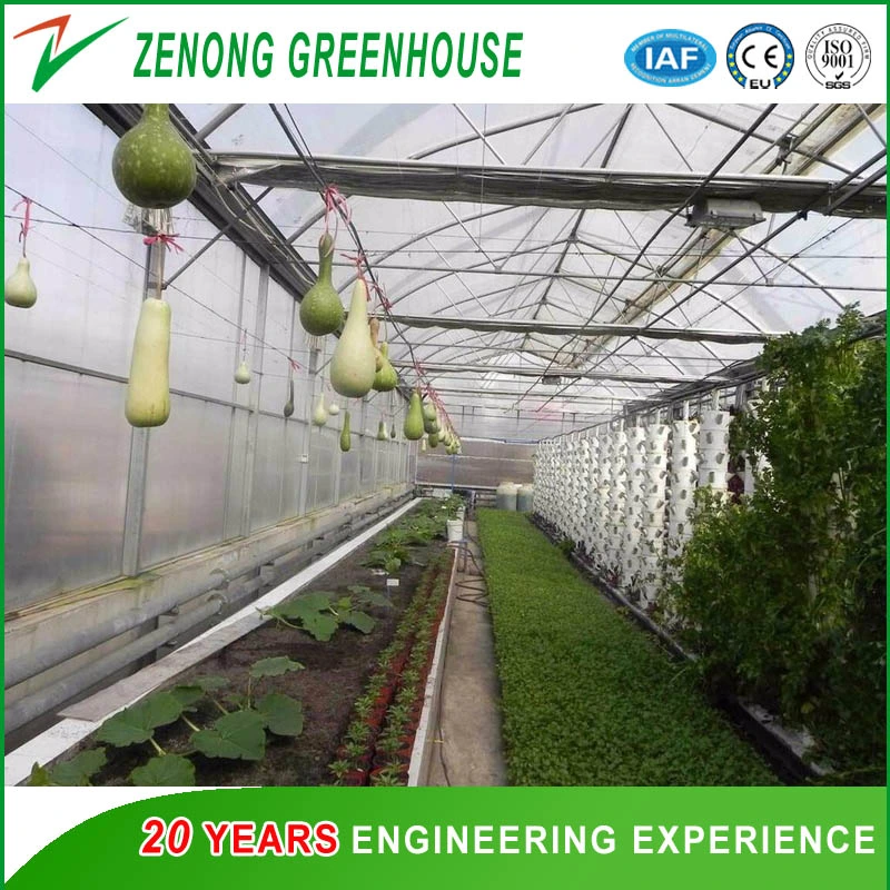 Multi-Span Agriculture Po Film Greenhouse with Side Ventilation for Anti-Season Vegetable/Flower/Fruit