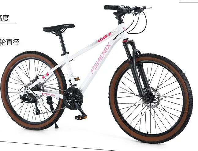 Haute qualité une génération de vélo de 26 pouces VTT de 24 pouces 27 vitesses Voiture à vitesse variable Peut verrouiller l'amortissement avant Fourche de haute qualité pour hommes et femmes.