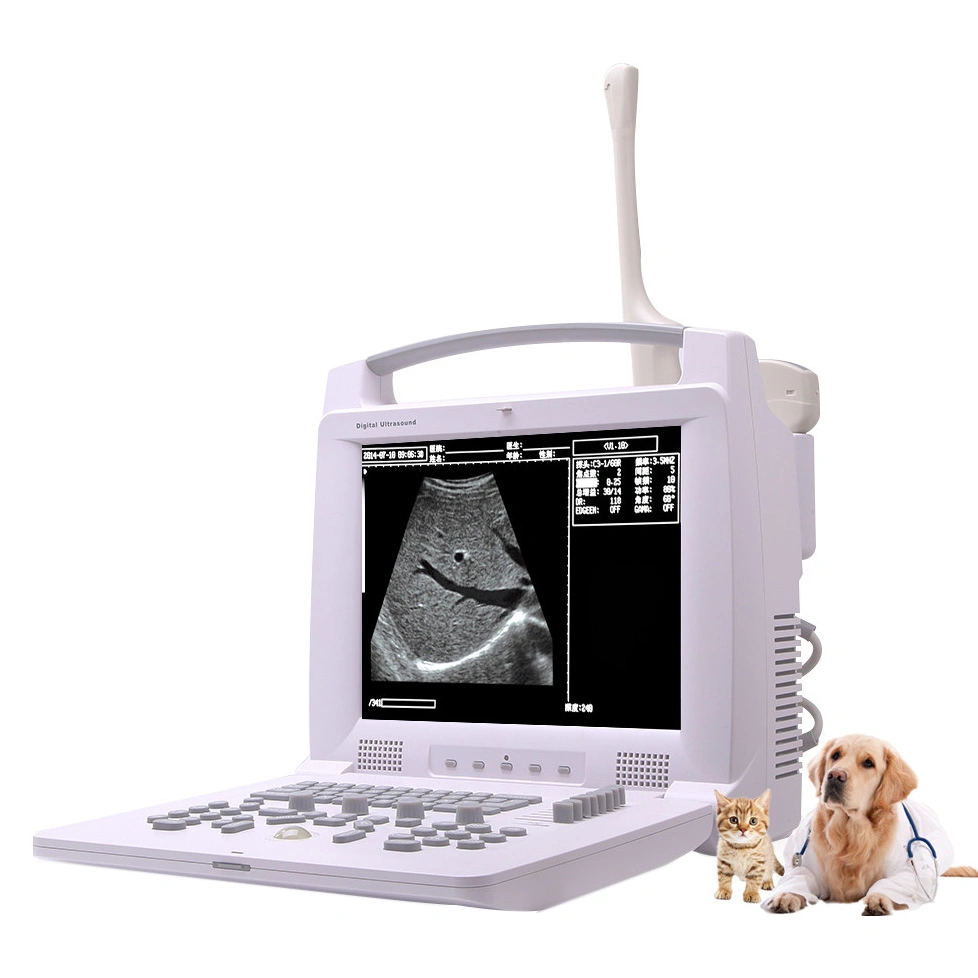 Medical Diagnosis Equipment Laptop Portable Ultrasound Veterinary Ultrasound Scanner