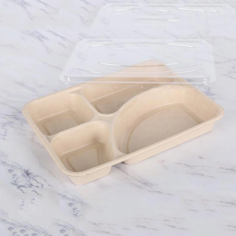 Disposable Biodegradable 3 4 5 Compartment Takeout Bento Meal Lunch Food Container Packaging Sugarcane Bagasse Box with Lid