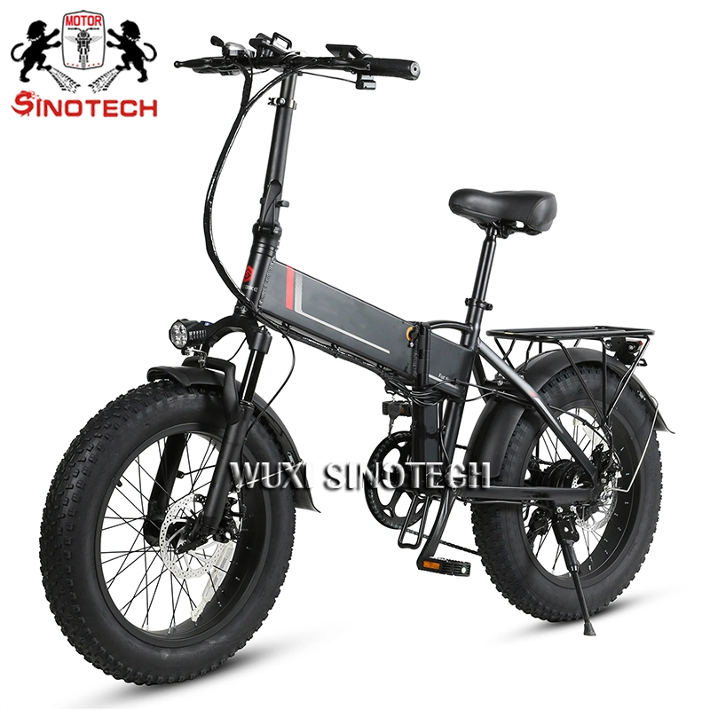 CE Certificate 500W Folding Bicycle 48V10ah Swappable 20'' Fat Tire Electric Mini Bike