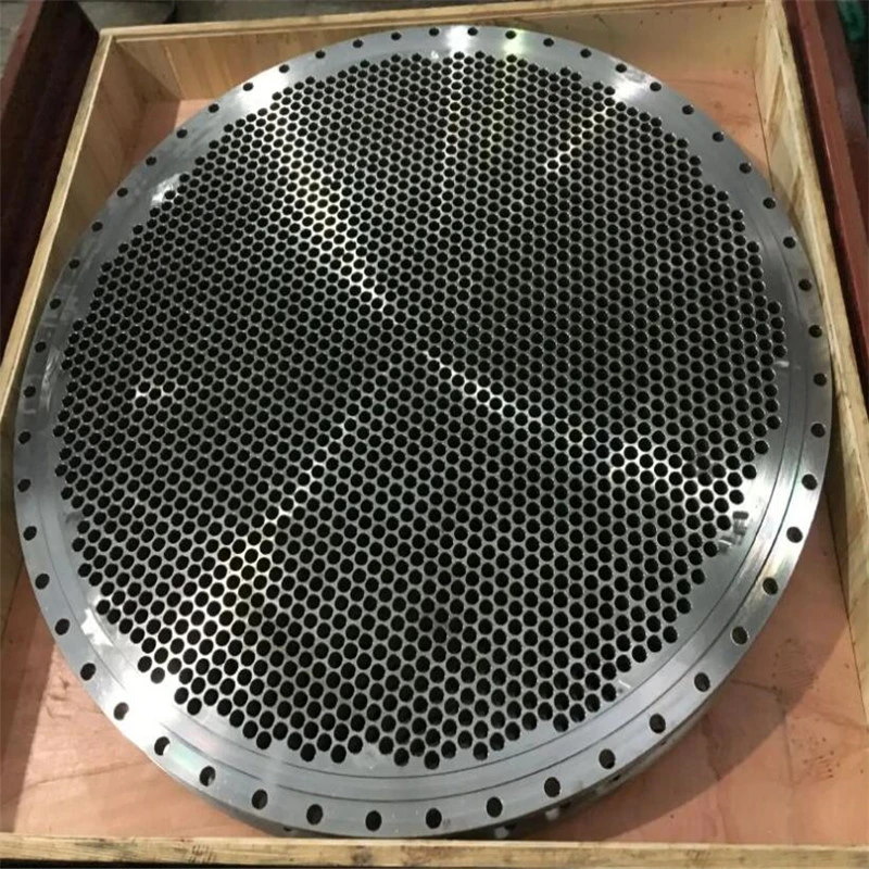 Custom Forged and Carbon Steel or Stainless Tube Sheet Manufacturer with Multi Hole Drilling for Heat Exchanger