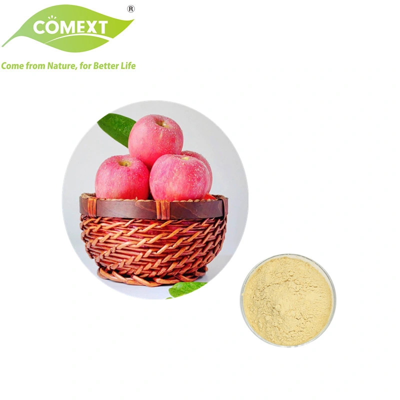 Comext Halal Kشر 100% جودة عالية الجودة أفضل سعر مجاني عيّنات Apple Fruit Juice Powder