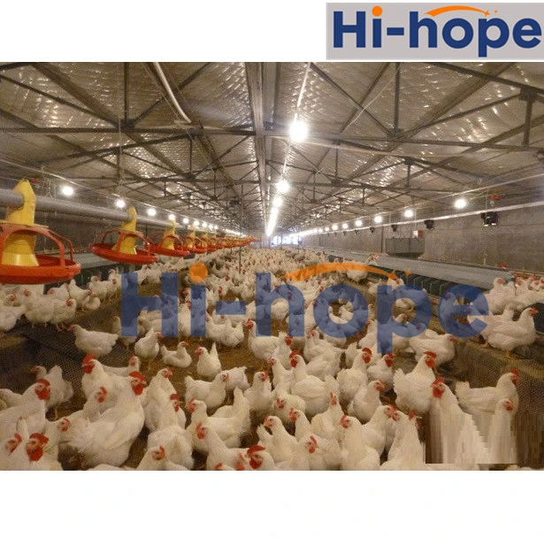 Factory Supply Agricultural Egg Nest Chicken Farming Feeding Equipment