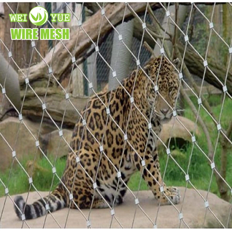 AISI316 Stainless Steel Wire Rope Net for Zoo Aviary Mesh