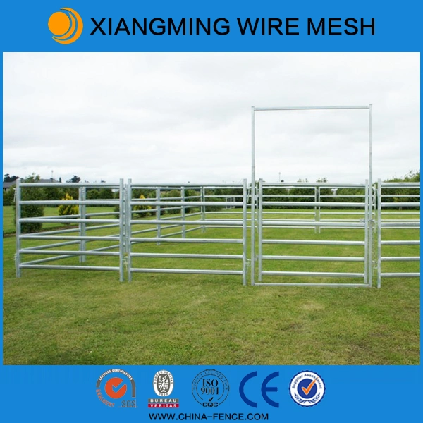 China Used Cattle Panels (with ISO9001 & SGS)