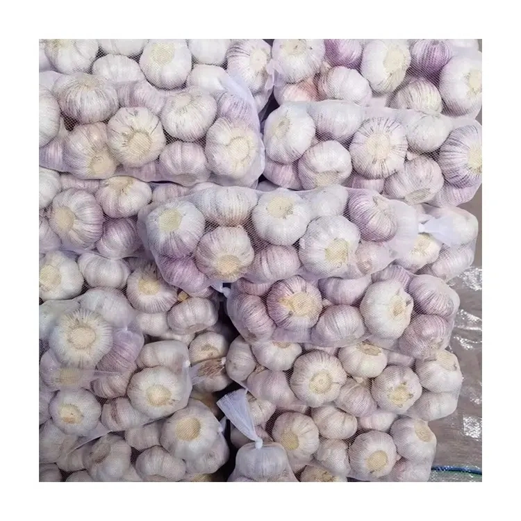 Factory Price Fresh Pure White Garlic in Mesh Bags