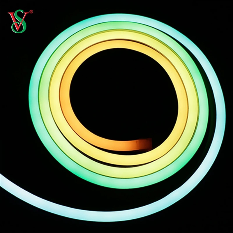 PVC Silicon Neon Flex Light for Indoor House Decoration