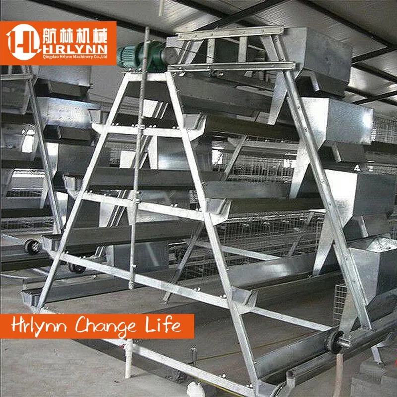 Poultry Farming Equipment 4 Tiers Fully Automatic Battery Layer Chicken Cage