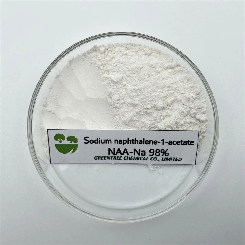 CAS No. 61-31-4 Auxin Alpha Na-Naa Sodium 1-Naphthaleneacetate 98%