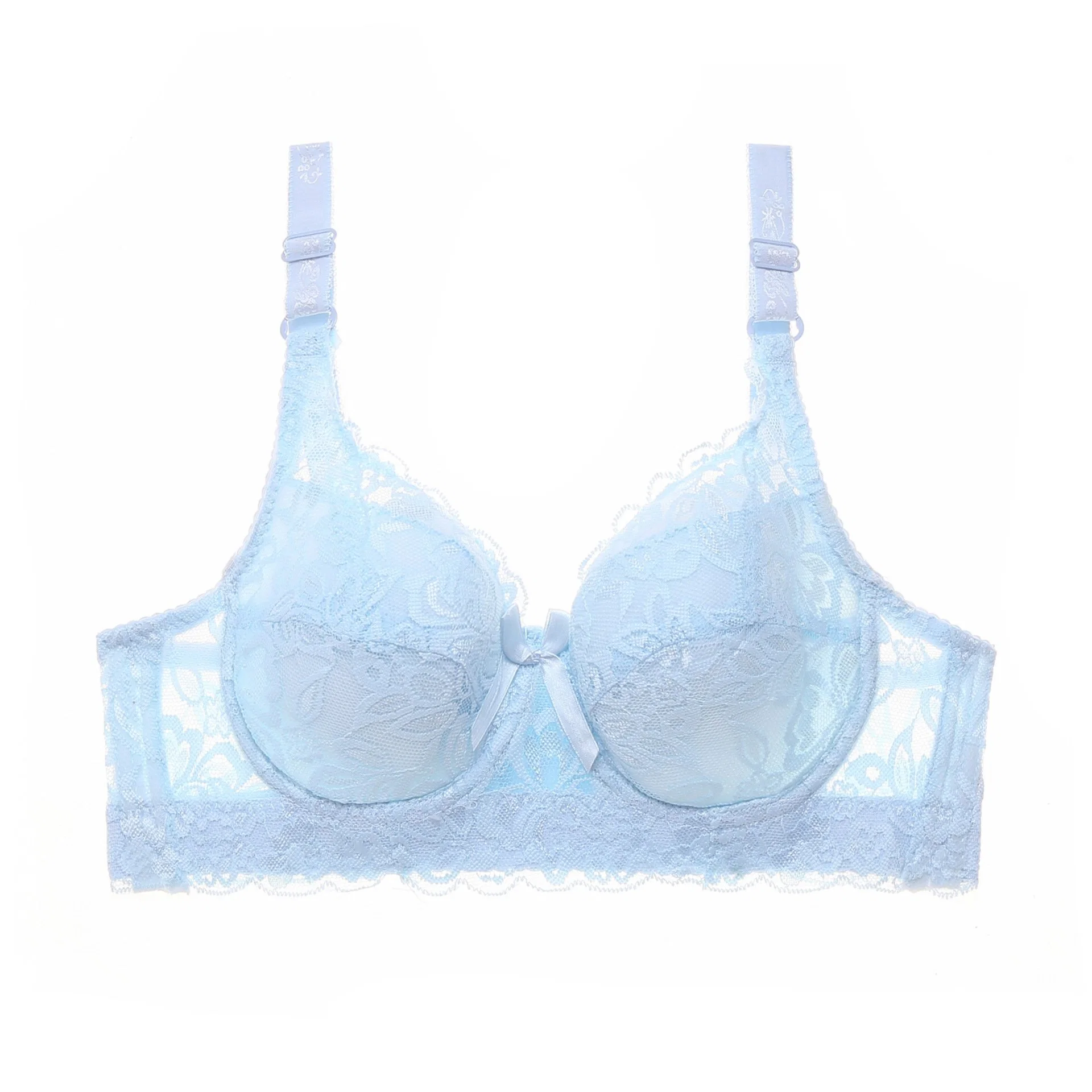 Wholesale/Supplier Plus Size Bra Lace Sexy Ladies Lingerie