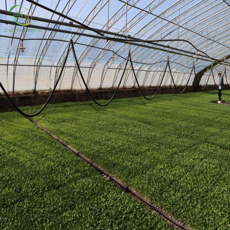 High quality/High cost performance  Hanging Type Sprinkling Irrigation System Used for Vegetables