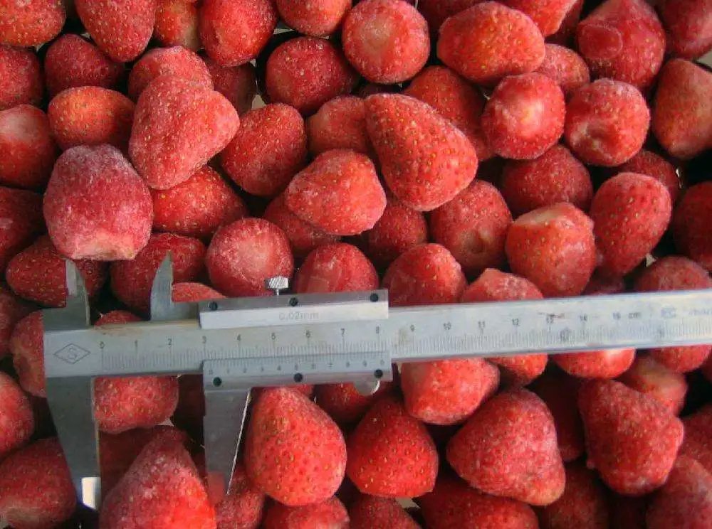Fresa frutas congelados IQF AM13/Honney/Sengana/Sweet Charlie