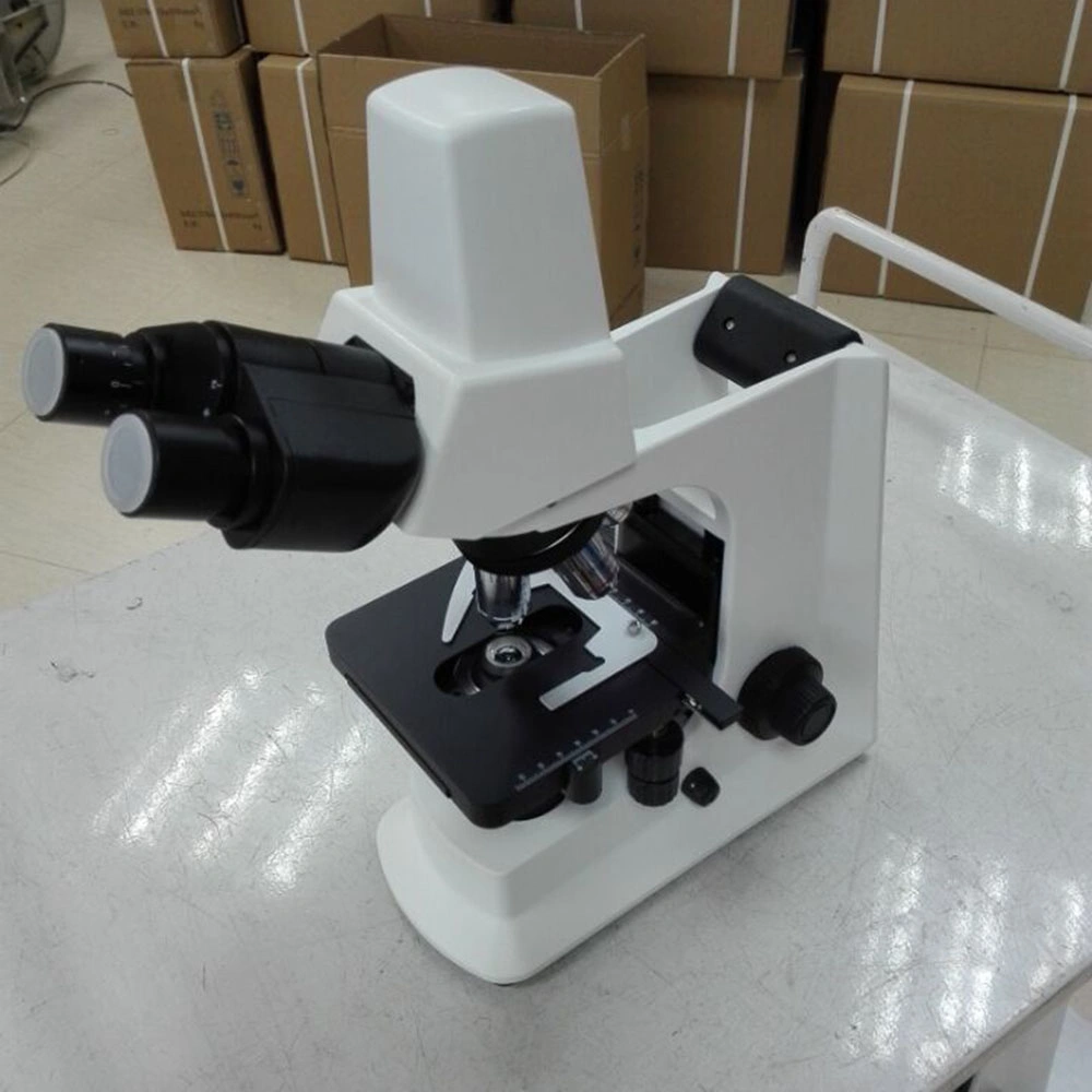 Professional Optical Laboratory Equipment Electronic Digital Binocular Microscope