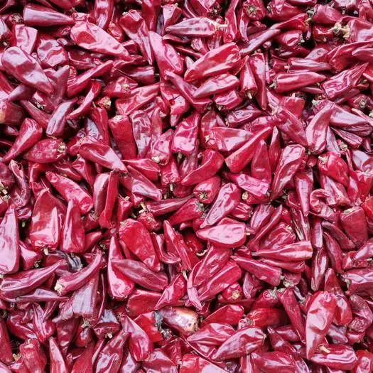 Hersteller New Crop Dehydriert Peking Red Chili