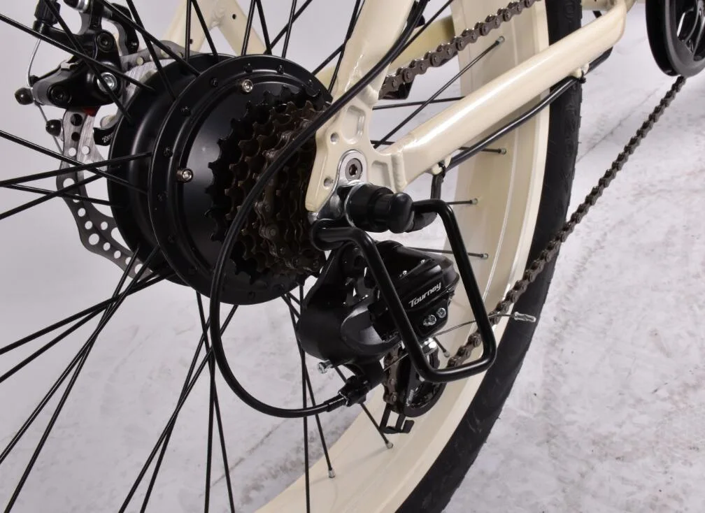 Bicicleta eléctrica con la grasa de los neumáticos para montar en la tierra y rocas