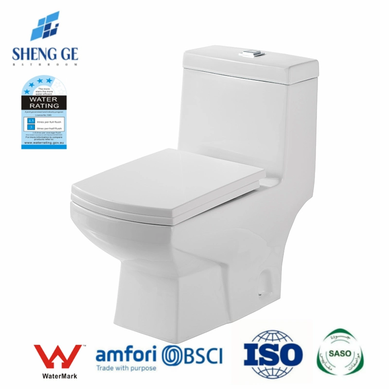 Supplier Bathroom Wc Sanitary Building Material High quality/High cost performance  European Rimless Flushing Soft Seat Cover Floor Mounted Toilet