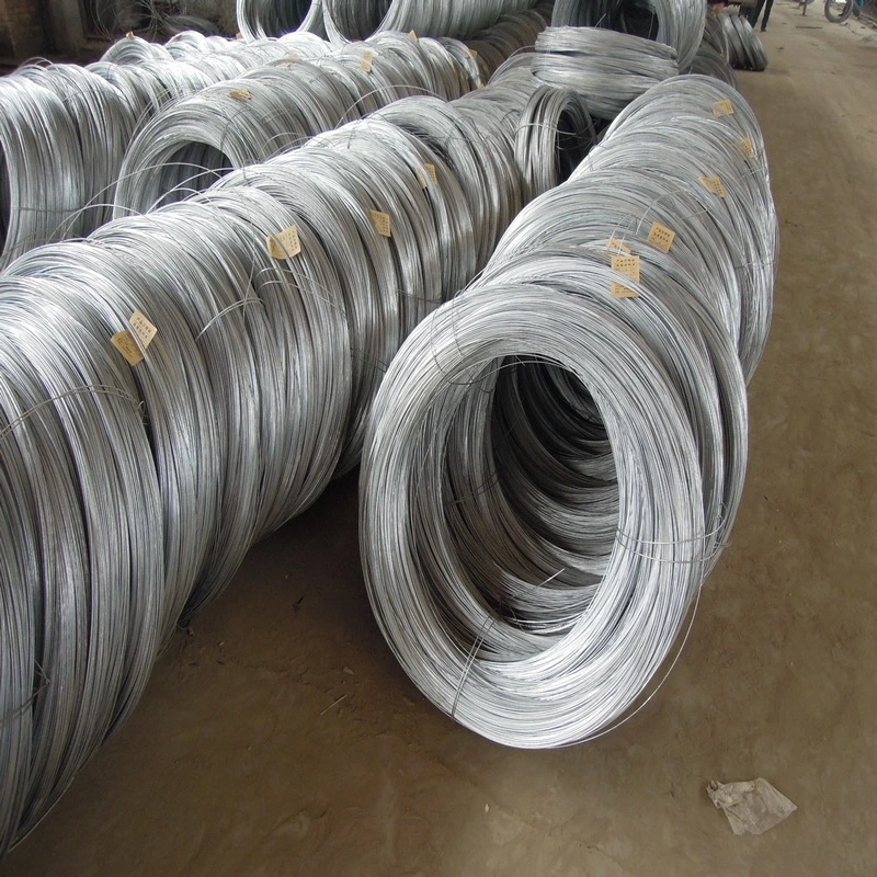 Electro and Hot Dipped Galvanized Wire for Metal Mesh